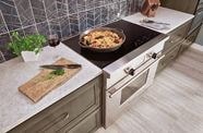 New Wolf 36 Induction Range Reviews Ratings 